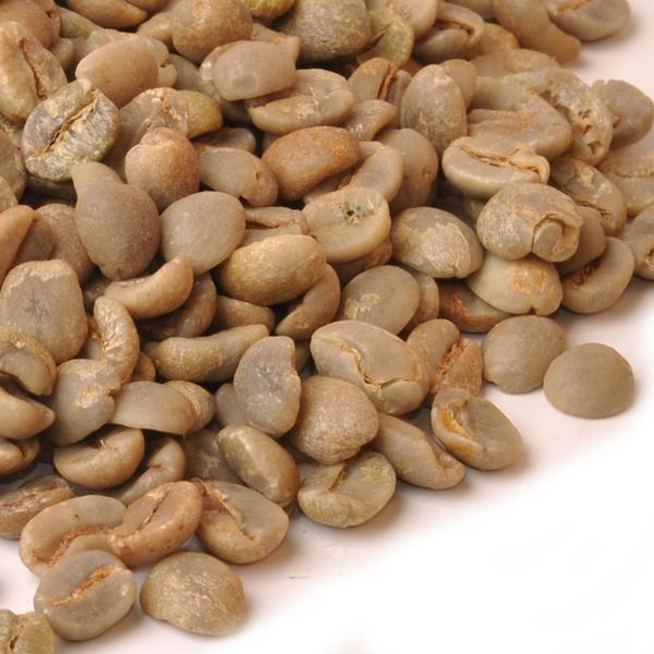 Wholesale - Green Beans